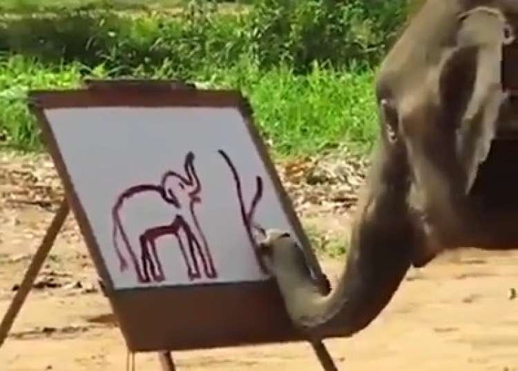 smartelephant